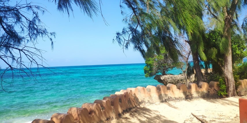 Dreamy Zanzibar